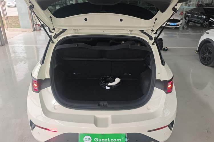 Used BYD Dolphin 2025 Intelligent Driving Version 410 km Fashion Edition
