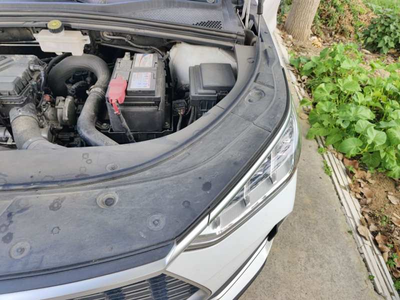 Used BYD Song PLUS 2020 1.5T Automatic Flagship PLUS — 24