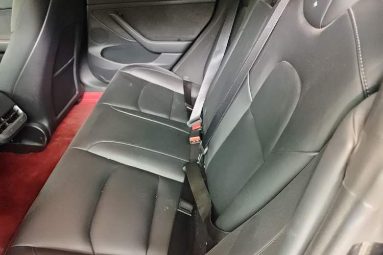 Used Tesla Model 3 2022 Rear-Wheel-Drive Version