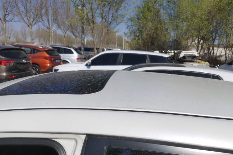 Used Nissan Tiida 2021 1.6L CVT Cool Edition Roof