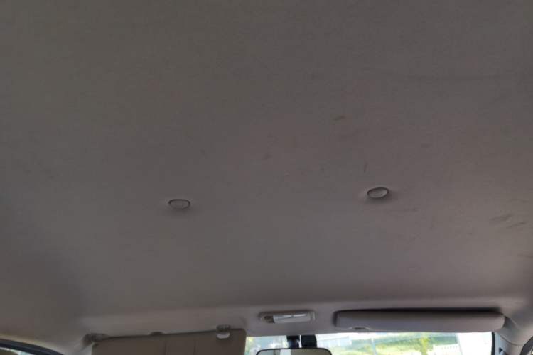 Used FORTHING Lingzhi 