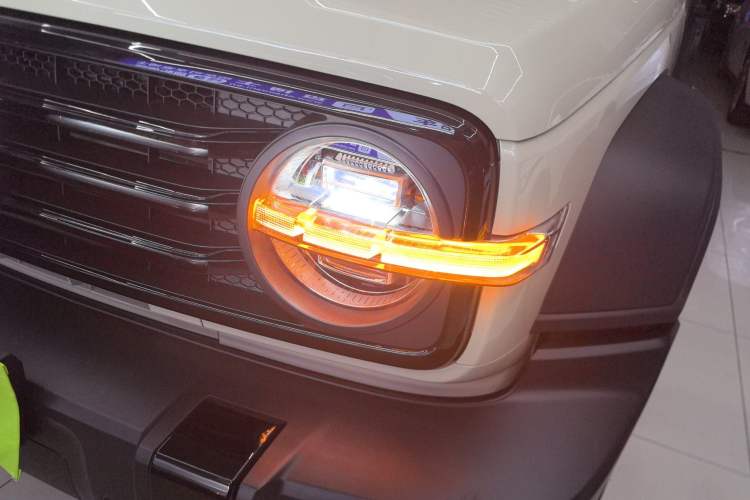 Used Tank 300 2025 2.0T Conqueror