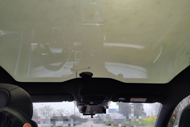 Used NETA S 2024 Pure Electric 520km Rear-Drive Lite Version Headliner