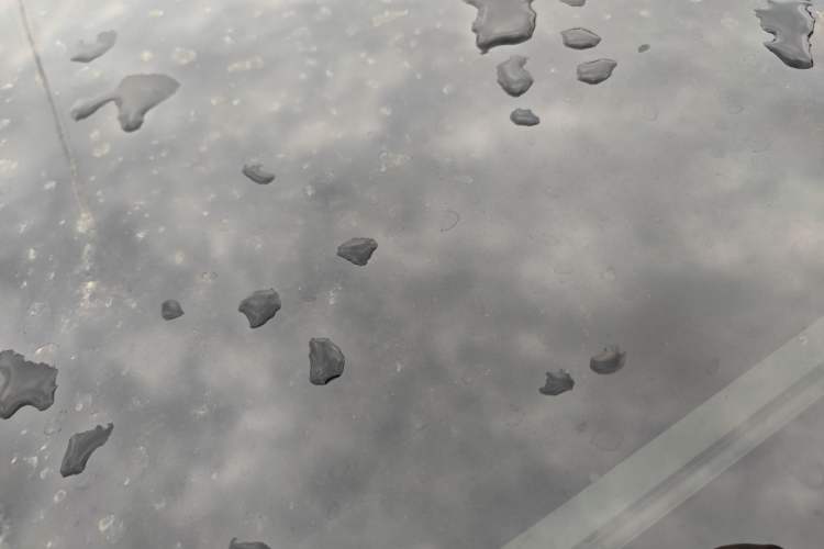 Used Kia K5 2021 270T CVVD Refreshed Edition Roof