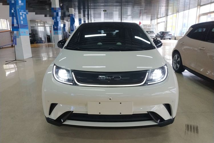 Used BYD Dolphin 2023 420 km Fashion Edition Front