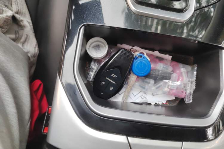 Used JMEV GSE 2022 Long-Range Industry Custom Edition Vehicle Key