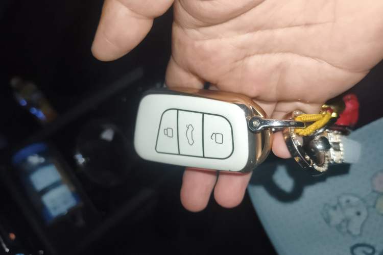 Used Chery Little Ant 2022 Sweet Pink Edition Half-Sugar Version Lithium Iron Phosphate 29.2 kWh 30 kW 301 km