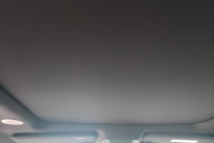 Used Ford F-150 Raptor 2023 3.5T Raptor Headliner