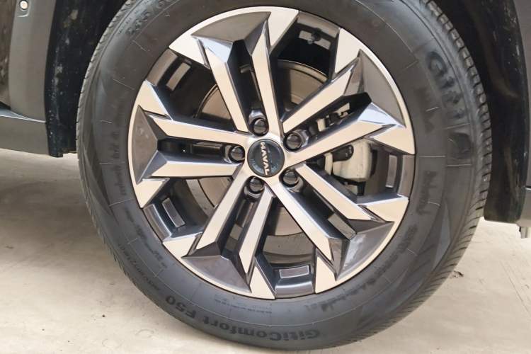 Used Haval H Dog 2023 1.5T Two-Wheel Drive Chao Ye Version Plus
