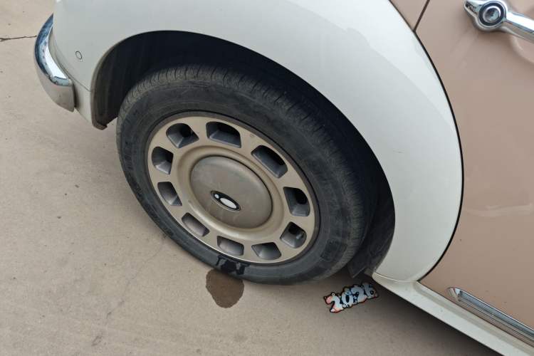 Used ORA Ballet Cat 2023 401 km Luxury Version Right Rear Wheel Hub