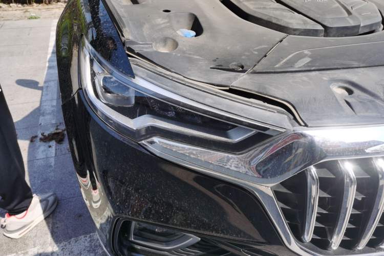 Used Hongqi HS5 2019 2.0T Smart Connect Flagship All-Wheel-Drive Version
