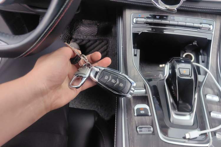 Used Landian E5 2024 Honor Edition 100KM Comfort Model 7 Seats