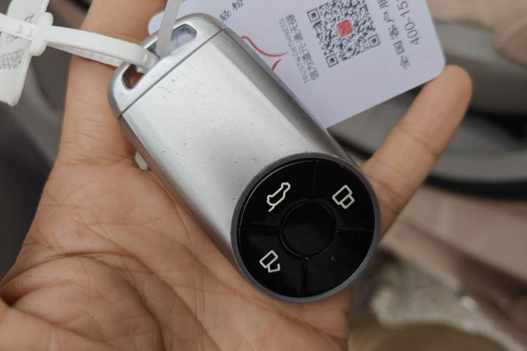 Used ORA Ballet Cat 2022 401 km Nutcracker Edition
