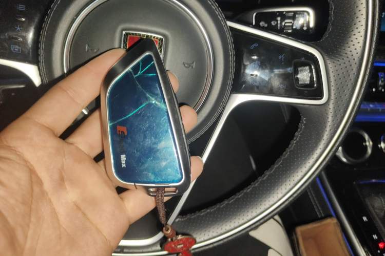 Used Hongqi H9 2020 2.0T Smart Connect Flagship Edition