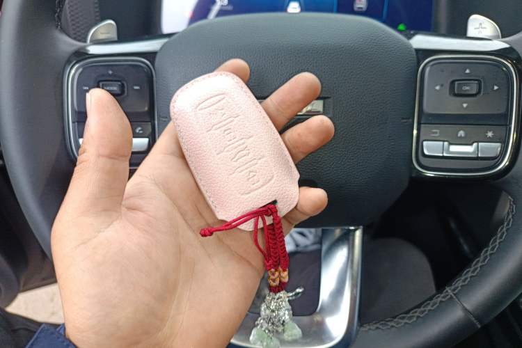 Used Haval DARGO 2022 1.5T DCT Two-Wheel Drive Border Collie Edition Vehicle Key