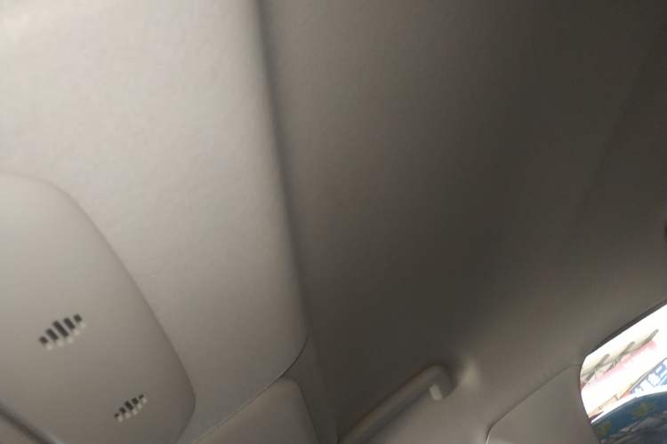 Used Ford Escort 2021 1.5L Automatic Gold Edition Headliner