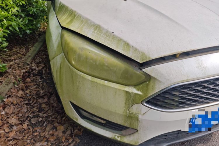 Used Ford Focus 2015 Hatchback EcoBoost 125 Automatic Supreme Style Edition
