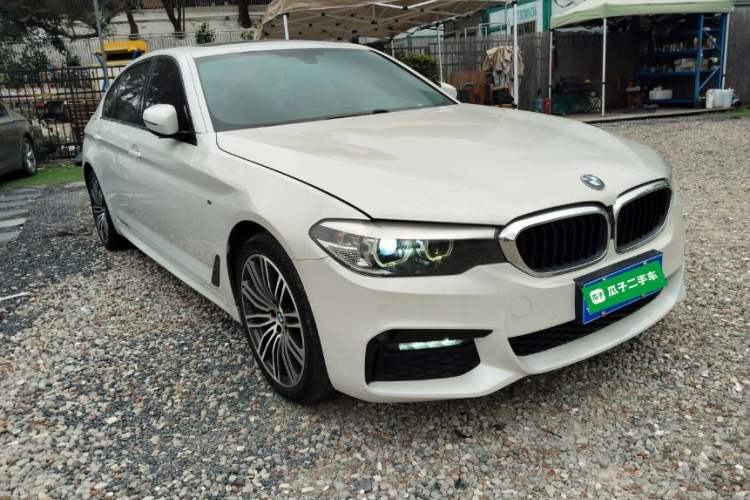 Used BMW 5 Series 2019 530Li Leading Model M Sport Package Exterior 1