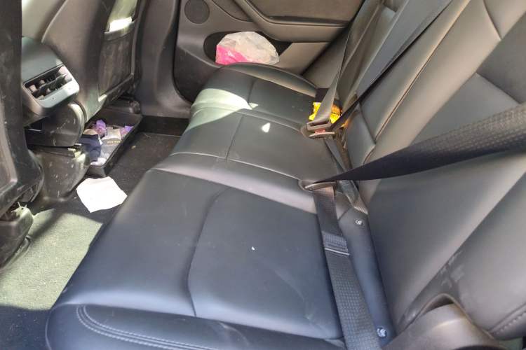 Used Tesla Model Y 2022 Revised Version Long-Range All-Wheel Drive
