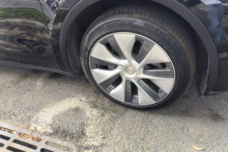 Used Tesla Model Y 2022 Rear-Wheel-Drive Version
