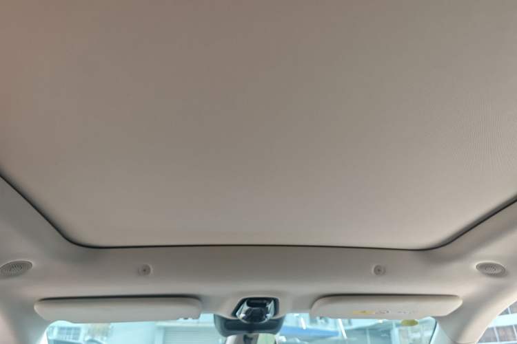 Used IM LS6 2026 Model Range-Extending 66 Max+ Headliner