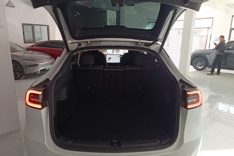 Used Tesla Model Y 2021 Standard Range Rear-Wheel Drive Version