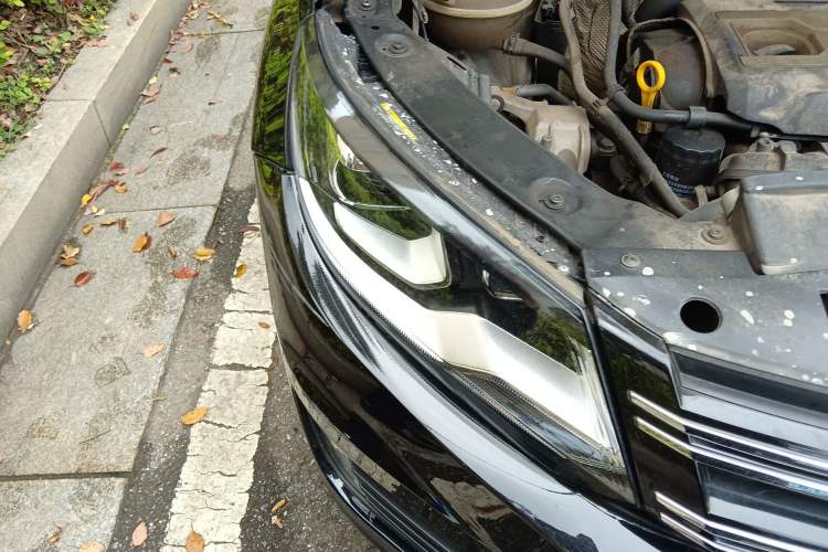 Used Volkswagen Tiguan 2016 300TSI Automatic All-Wheel Drive Fashion Vision Edition Right Front Headlight