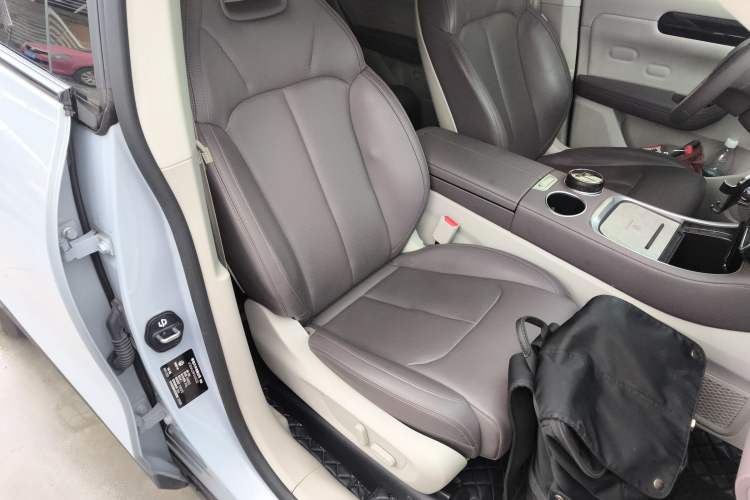 Used Leapmotor C11 2023 Pure Electric 500 Comfort Edition
