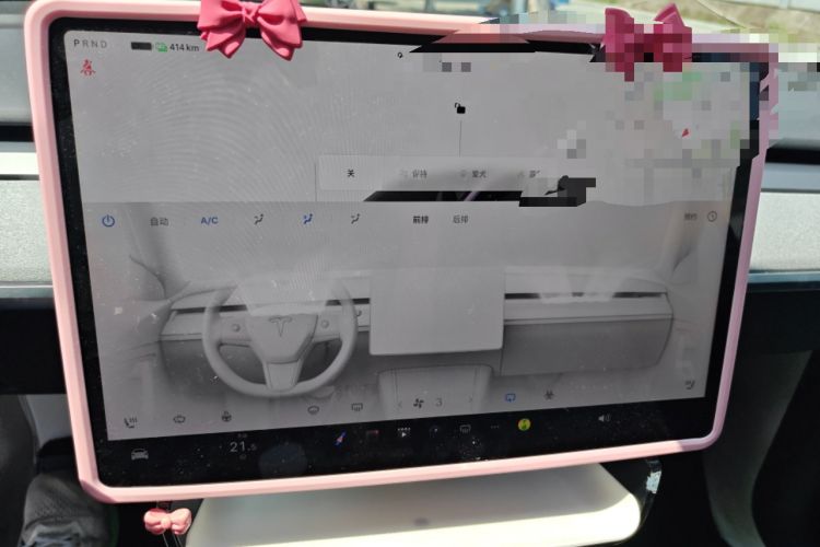 Used Tesla Model Y 2024 Rear-Wheel-Drive Version