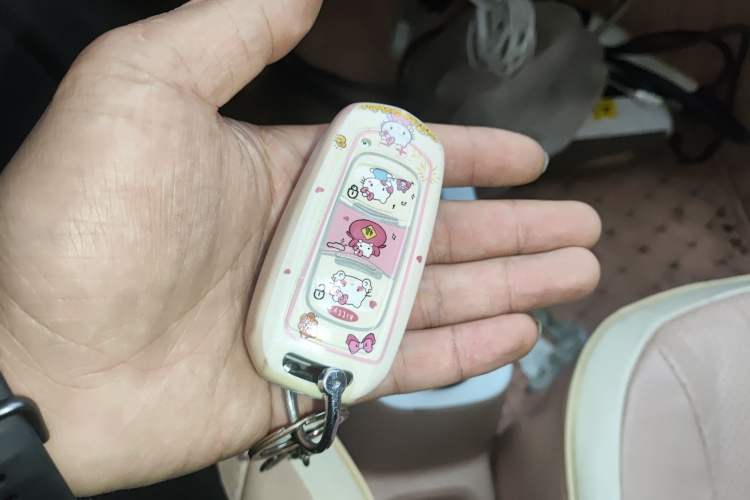 Used Geely Galaxy Panda 2023 Panda Mini 200km Endurance Bear
