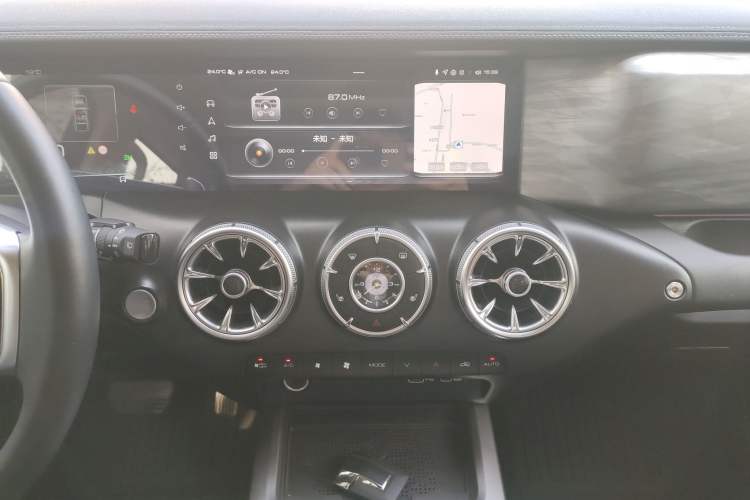 Used Tank 300 2024 2.0T Conqueror