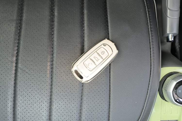 Used Geely Galaxy Panda 2024 Panda Mini 200km Endurance Bear
