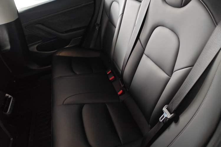 Used Tesla Model 3 2019 Standard Range Rear-Drive Upgraded Version