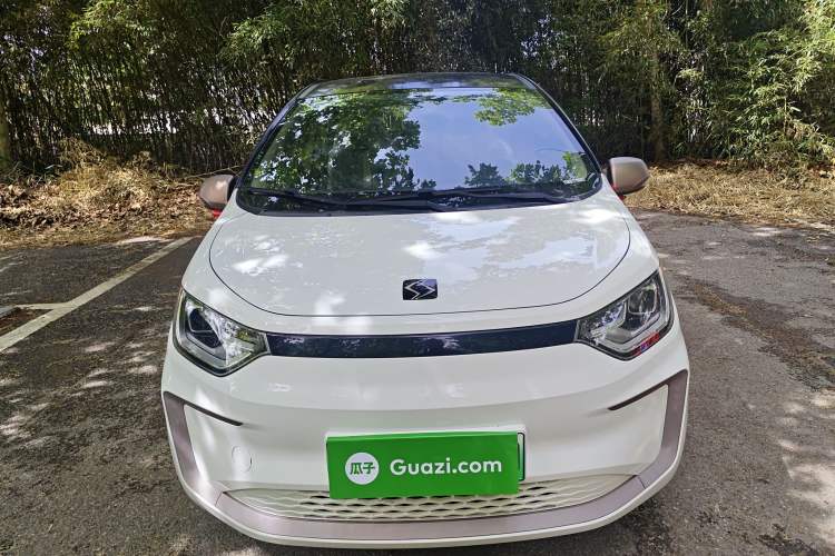 Used SOL E10X 2022 Flower Fairy Design Dandelion
