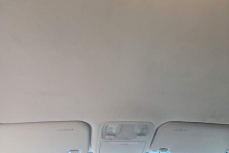 Used Kia Sportage 2009 2.0L Manual Two-Wheel-Drive GL Trim Headliner