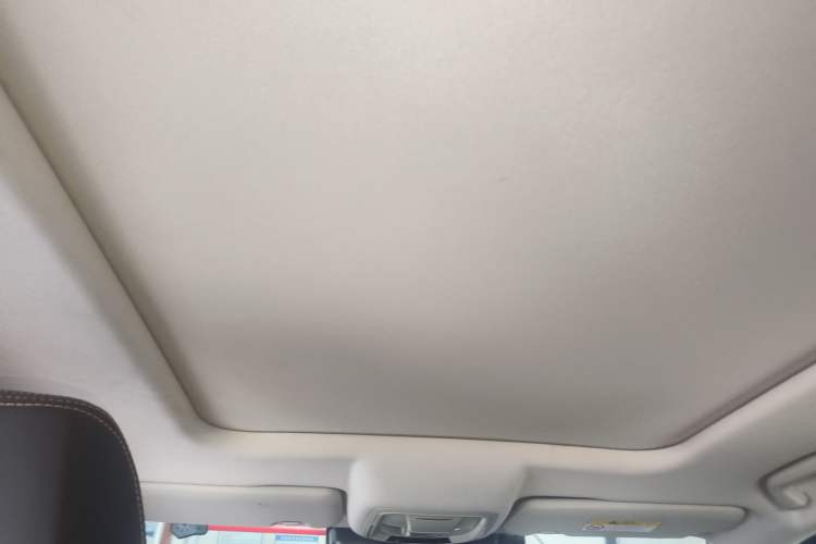 Used Haval DARGO 2021 1.5T DCT Two-Wheel Drive Border Collie - Wangcai Edition Headliner