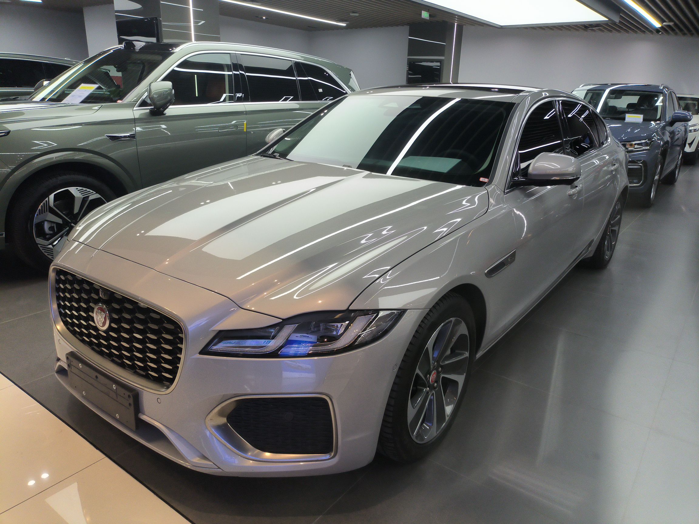 Parte inferior delantera