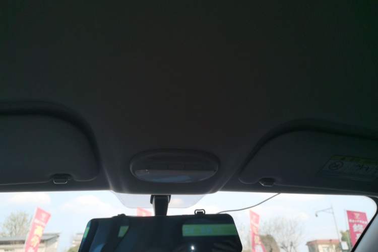 Used Chery Little Ant 2023 251km True Love Edition Lithium Iron Phosphate
