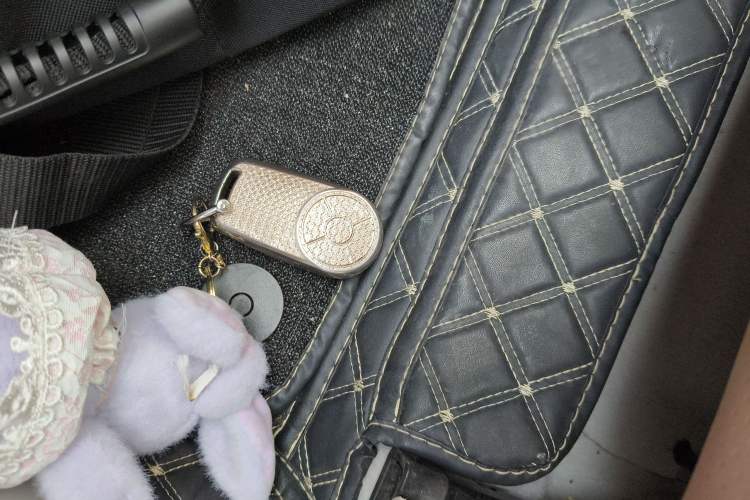 Used ORA Ballet Cat 2022 401 km Nutcracker Edition