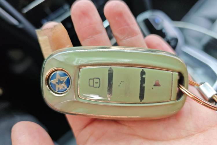 Used Venucia D60EV 2022 Standard Range Smart Drive Version
