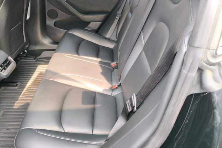 Used Tesla Model 3 2021 Standard Range Rear-Wheel Drive Upgraded Version 3D6
