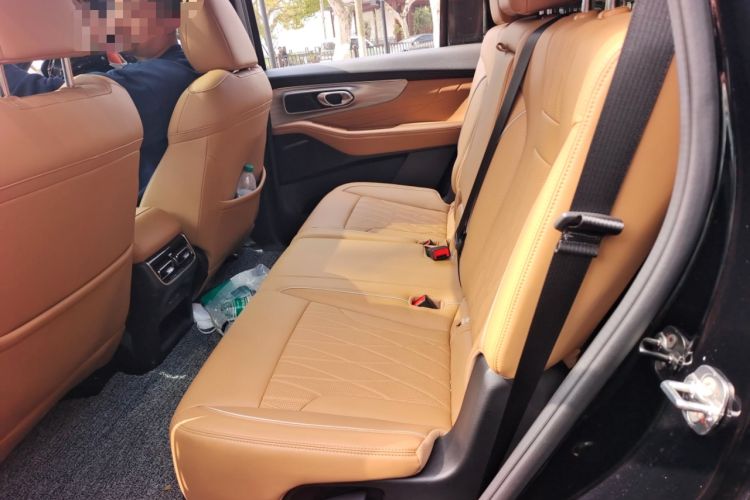 Used GAC Trumpchi GS8 2025 Linghang Series 2.0 TGDI Two-Wheel-Drive Luxury Edition 5 Seats