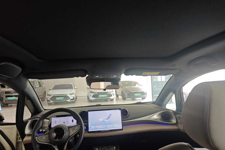 Used BYD Dolphin 2025 Intelligent Driving Version 520km Range Knight Edition Headliner