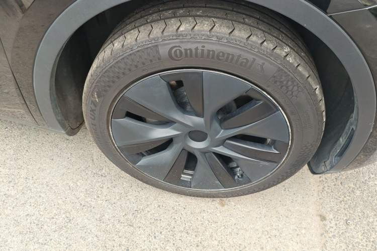 Used Tesla Model Y 2023 Rear-Wheel-Drive Version