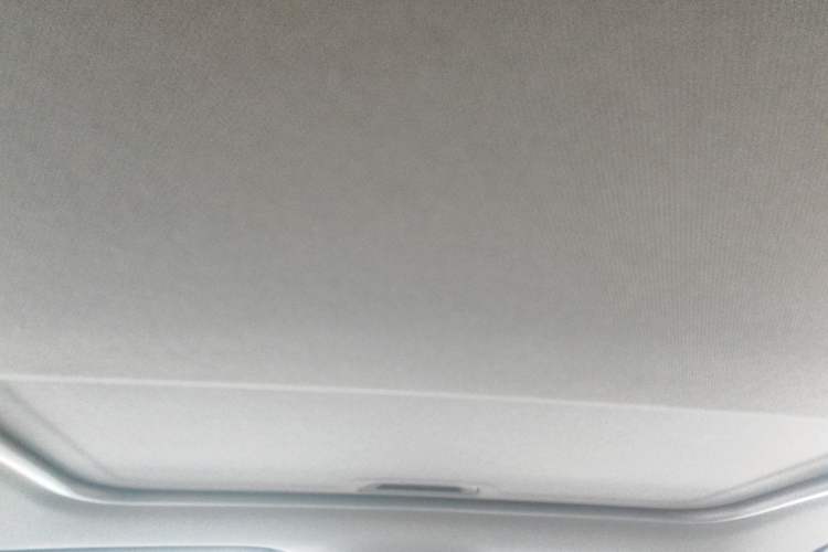 Used Buick Verano 2023 Pro GS Hunter Wind Edition Headliner