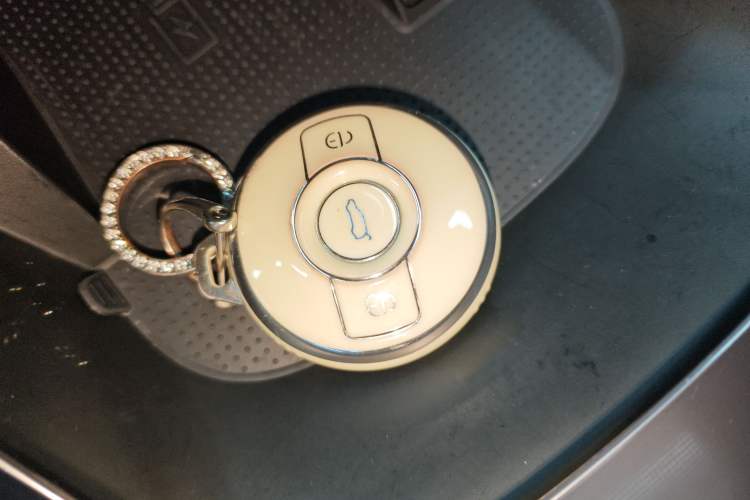 Used smart #3 2024 Dynamic Long-Range Edition Vehicle Key