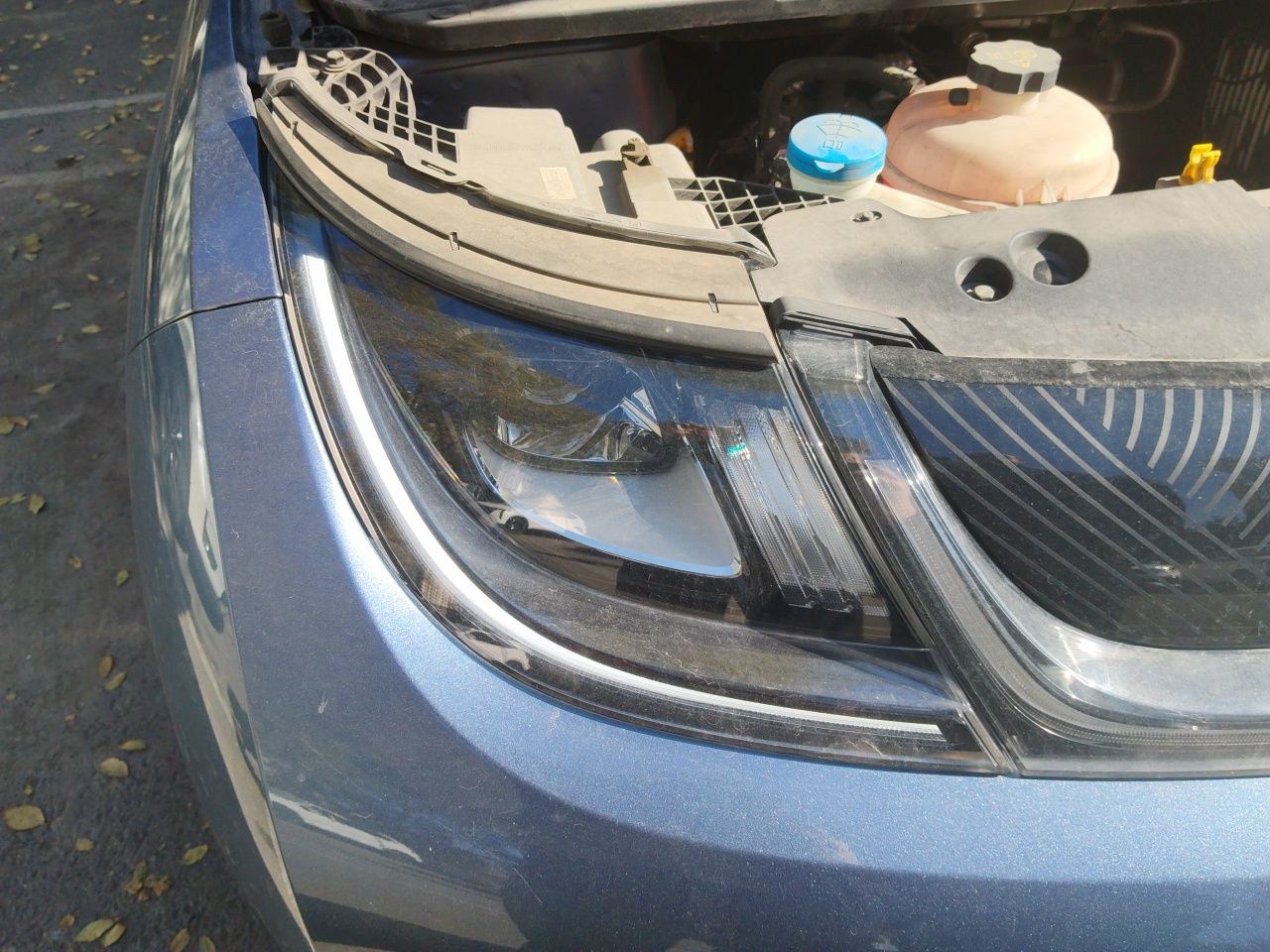 BYD Dolphin 2024 Honor Edition 401km Knight Edition — снимка 7