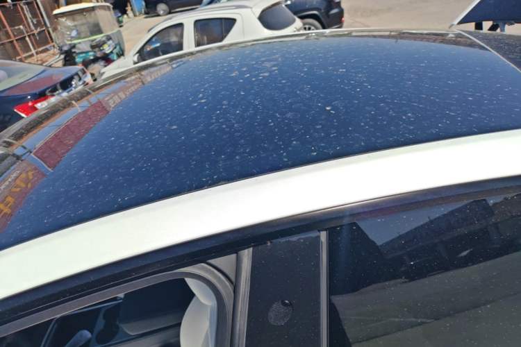 Used Tesla Model Y 2022 Long-Range All-Wheel-Drive Version