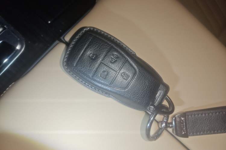 Used BAIC Off-Road BJ60 Leiting 2024 Magic Electric Drive Advanced Version 5 Seats
