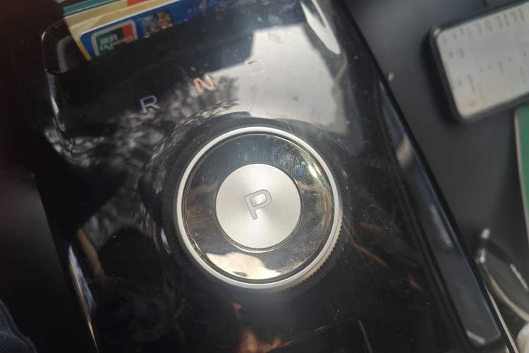 Used Geometry E Firefly 2023 401KM Linglong Tiger 5-Seater